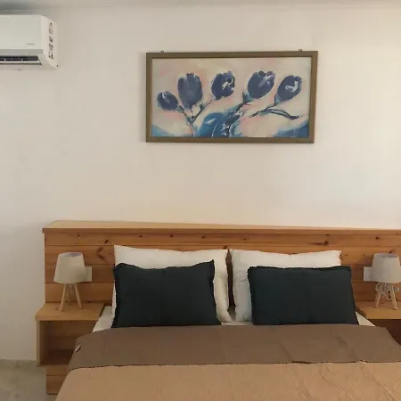 Eirene House Tatil Evi Afantou