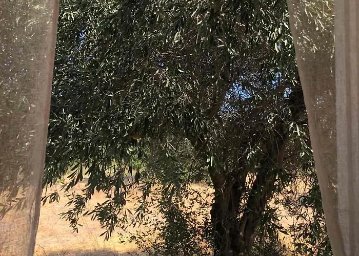 Eirene House Holiday home *